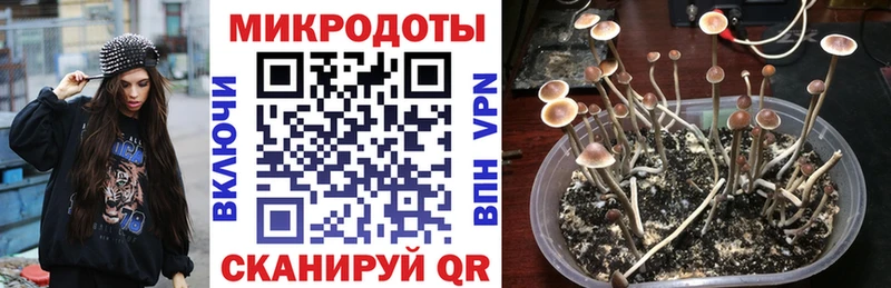 Галлюциногенные грибы Psilocybe  купить закладку  Пучеж 
